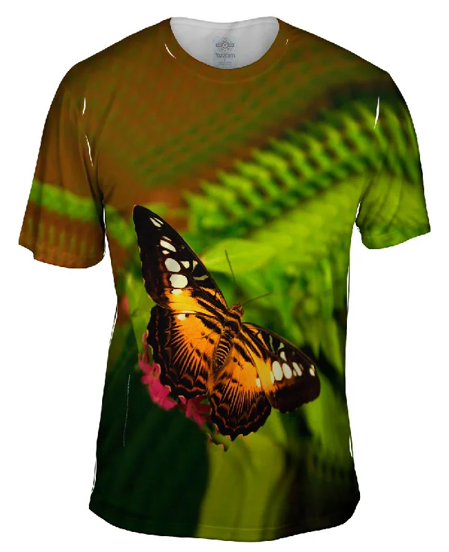 Colorful Dark Orange Butterfly