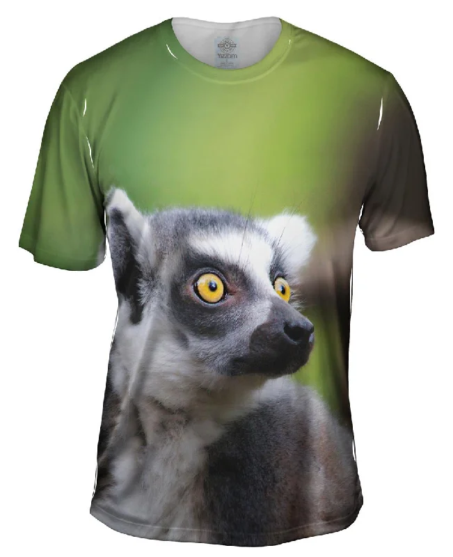 Full Attentention Grey Lemur