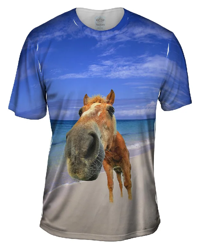 Horse Beach Snout