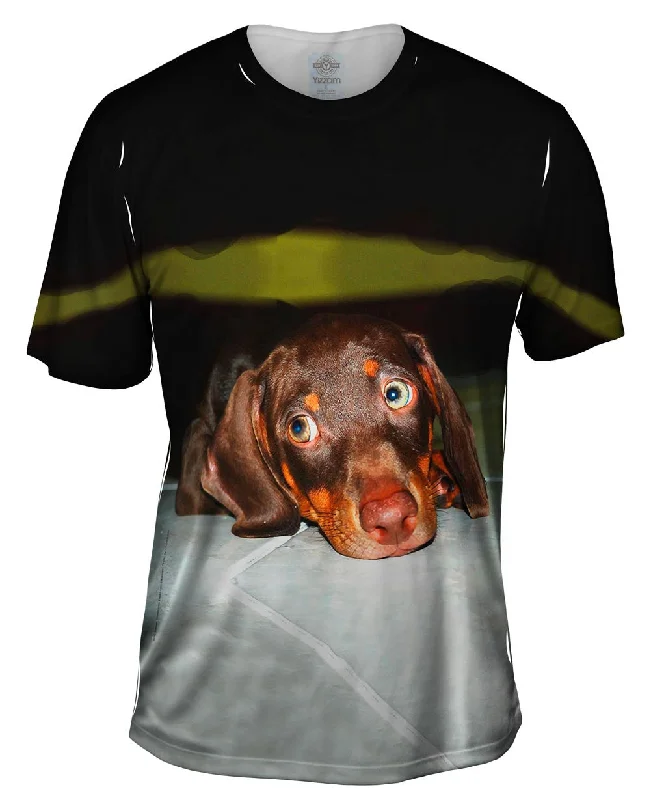 Hot Dog Dachshund